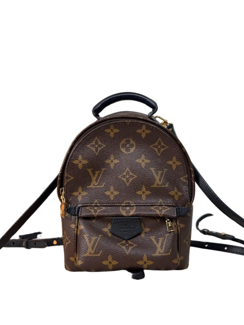 Louis Vuitton Palm Springs Mini Backpack Monogram